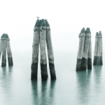 Laguna nera in libreria dal 13 aprile