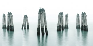 Laguna nera in libreria dal 13 aprile