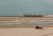 Il commissario Livio Bacci e i suoi nostalgici anni ’80