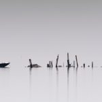 Marea tossica in libreria dal 10 ottobre