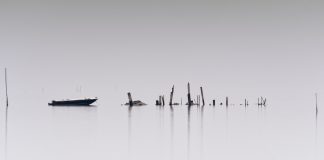 Marea tossica in libreria dal 10 ottobre