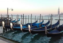 L’Eco dell’Altana 8: #AcquaMorta sei anni dopo, tra MOSE e caparossoi