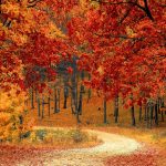 Solo fango, una nuova indagine del commissario Aldani a Treviso