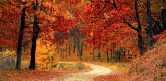 Solo fango, una nuova indagine del commissario Aldani a Treviso